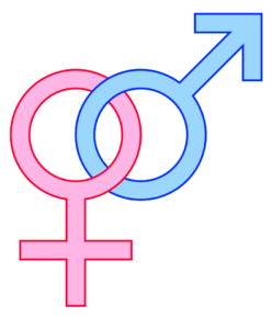 Fem-Men-Ism